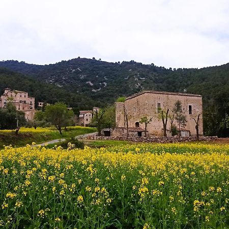 El Castell De Seguero Leilighet Beuda Eksteriør bilde